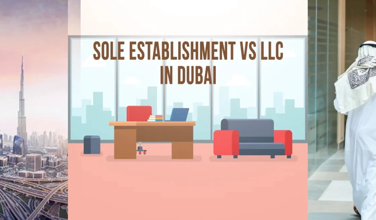 Sole establishment vs LLC UAE 2024 Guide 1